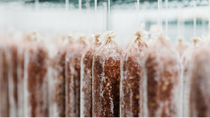 Everything You Should Know About Salami